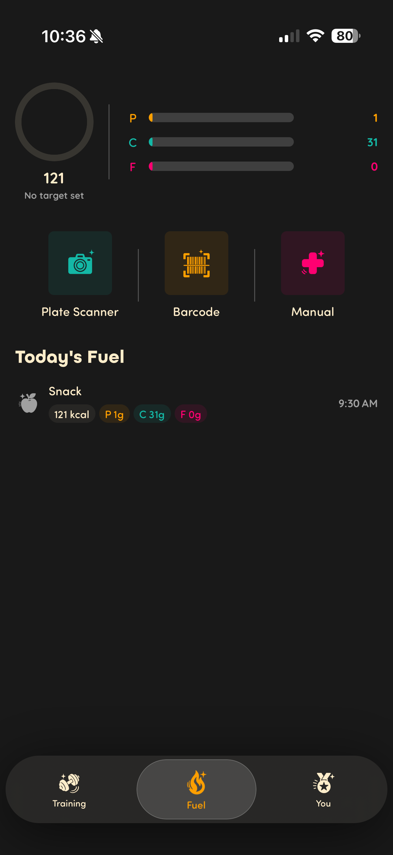 Fuel home (dark)